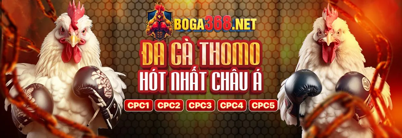 Đá Gà Tre Trực Tiếp - Sân Chơi Hàng Đầu 2026
